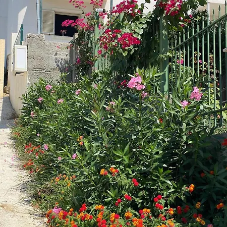 Casa Nushi * Durrës